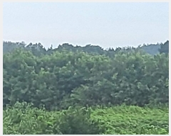  2023Ÿ35546  ֽ ϳ ų 14-8      (Ӿ)