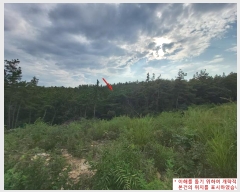  2023Ÿ35546  ֽ ϳ ų 14-8      (Ӿ)