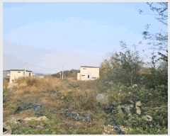  2023Ÿ��37184  �Ӿ߰��