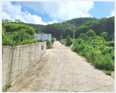  2023Ÿ��1314  �Ӿ߰��