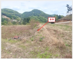  2023Ÿ��1727 ��� ���� �빮�� ������ 298      ����(��1)���