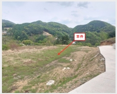  2023Ÿ��1727 ��� ���� �빮�� ������ 298      ����(��1)���