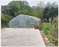  2023Ÿ��1727 ��� ���� �빮�� ������ 298      ����(��1)���