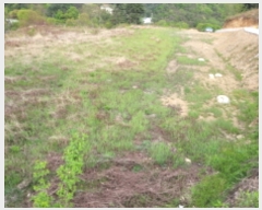  2023Ÿ��1727 ��� ���� �빮�� ������ 298      ����(��1)���