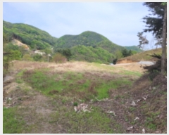  2023Ÿ��1727 ��� ���� �빮�� ������ 298      ����(��1)���