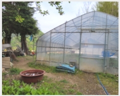  2023Ÿ��1727 ��� ���� �빮�� ������ 298      ����(��1)���