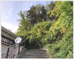  2023Ÿ��2003  ���ð��