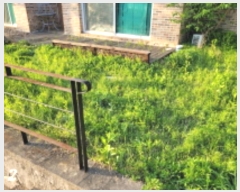  2023Ÿ��2003  ���ð��