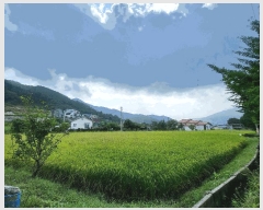  2023Ÿ��3617 ��� ���� �빮�� ������ 362-7      ����(��)���