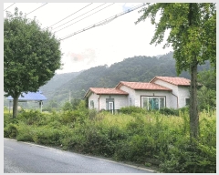  2023Ÿ��3617 ��� ���� �빮�� ������ 362-7      ����(��)���