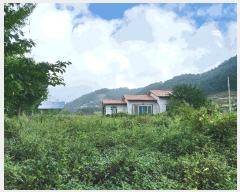  2023Ÿ��3617 ��� ���� �빮�� ������ 362-7      ����(��)���