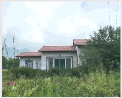  2023Ÿ��3617 ��� ���� �빮�� ������ 362-7      ����(��)���