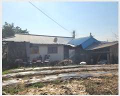  2023Ÿ��31247 ��� ���� ������ �Ұ 50-1      ����(����)���