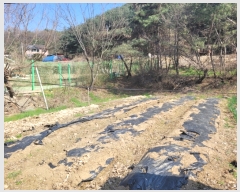  2023Ÿ��31247 ��� ���� ������ �Ұ 50-1      ����(����)���