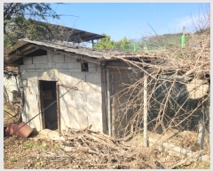  2023Ÿ��31247 ��� ���� ������ �Ұ 50-1      ����(����)���