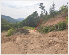  2023Ÿ��33403 ��� ���� ������ ��ȣ�� ��151-324      ����(�Ӿ�)���