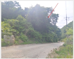  2023Ÿ��33403 ��� ���� ������ ��ȣ�� ��151-324      ����(�Ӿ�)���