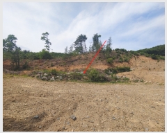  2023Ÿ��33403 ��� ���� ������ ��ȣ�� ��151-324      ����(�Ӿ�)���