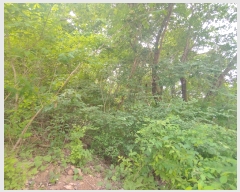  2023Ÿ��33403 ��� ���� ������ ��ȣ�� ��151-324      ����(�Ӿ�)���