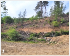  2023Ÿ��33403 ��� ���� ������ ��ȣ�� ��151-324      ����(�Ӿ�)���