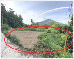  2023Ÿ33755    帮 117-14      (1)