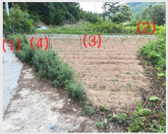  2023Ÿ33755    帮 117-14      (1)