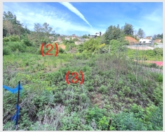  2023Ÿ33755    帮 117-14      (1)