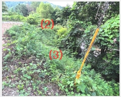  2023Ÿ33755    帮 117-14      (1)