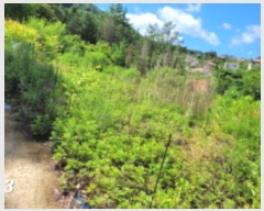  2023Ÿ33755    帮 117-14      (1)