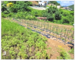  2023Ÿ33755    帮 117-14      (1)