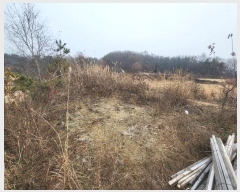  2023Ÿ��37702  �Ӿ߰��