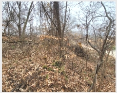  2023Ÿ��37702  �Ӿ߰��