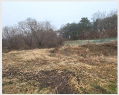  2023Ÿ��37702  �Ӿ߰��