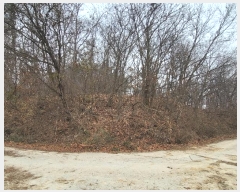  2023Ÿ��37702  �Ӿ߰��