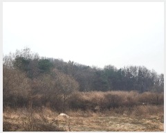  2023Ÿ��37702  �Ӿ߰��