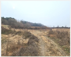  2023Ÿ��37702  �Ӿ߰��