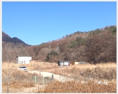  2023Ÿ39517   õ õ 43      (Ӿ)