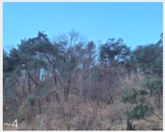  2023Ÿ39517   õ õ 43      (Ӿ)