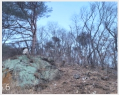  2023Ÿ39517   õ õ 43      (Ӿ)