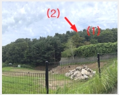  2023Ÿ��34628  �Ӿ߰��