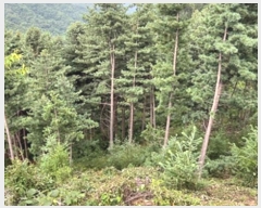  2023Ÿ��34628  �Ӿ߰��