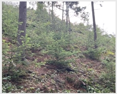  2023Ÿ��34628  �Ӿ߰��