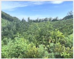  2023Ÿ��34628  �Ӿ߰��