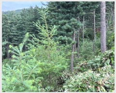  2023Ÿ��34628  �Ӿ߰��