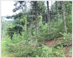  2023Ÿ��34628  �Ӿ߰��