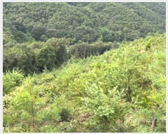  2023Ÿ��34628  �Ӿ߰��