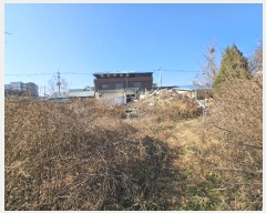  2023Ÿ��5279 ��� ���� ������ �������� 220-7      ����(����)���