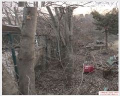  2023Ÿ��31407 ��� ���� ���ϸ� ������ 24-14      ����(��)���