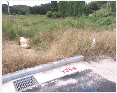  2023Ÿ��36778  ����