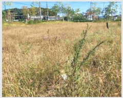  2023Ÿ��36778  ����